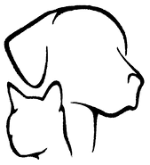 Second Chance of Orangeburg Animal Rescue Coalition