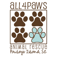 All4Paws