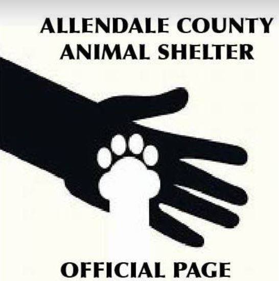 Partners for Pets of Allendale County