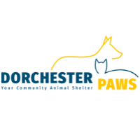 Dorchester Paws