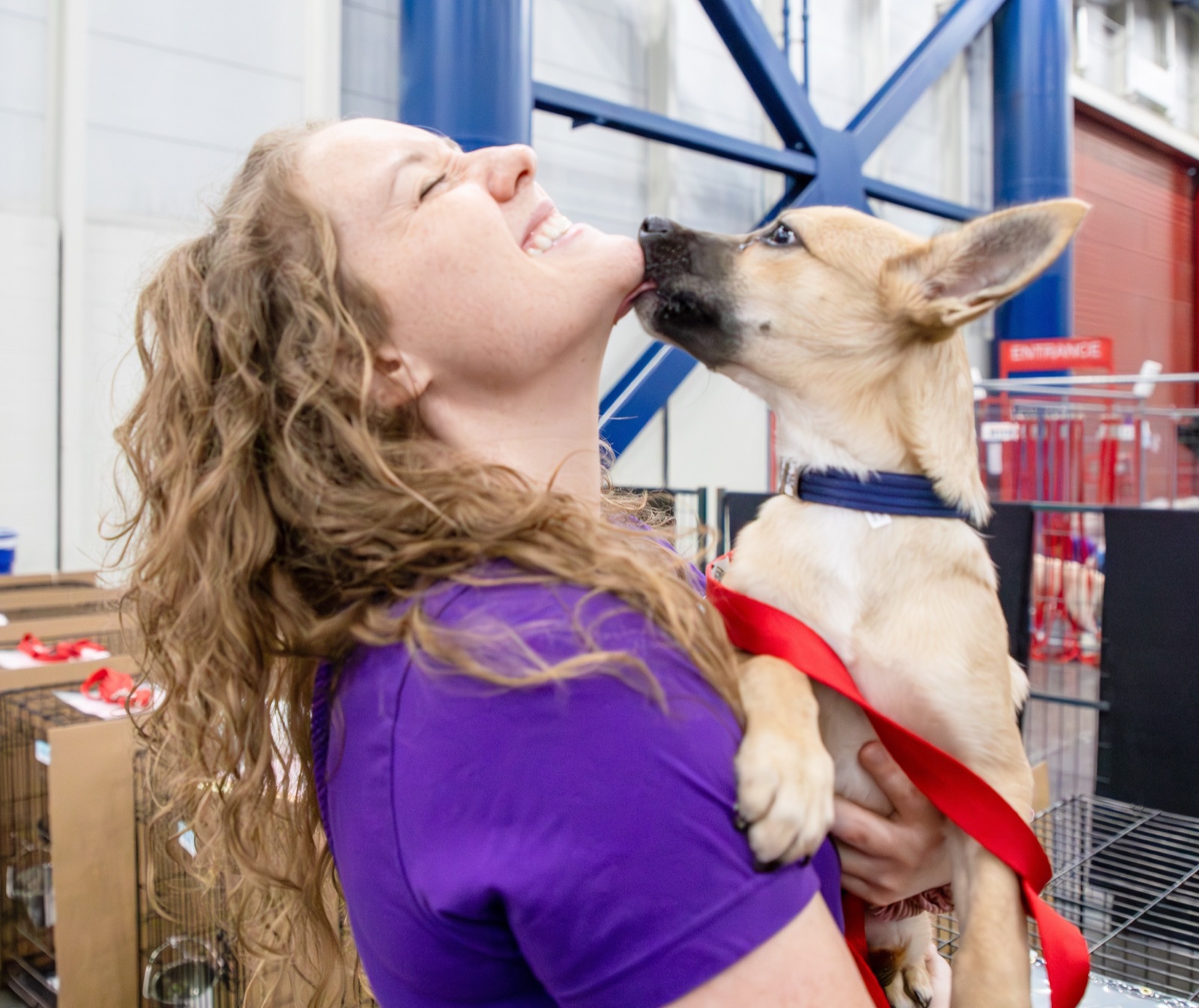 A volunteer being kissed by a happy puppy at an adoption event